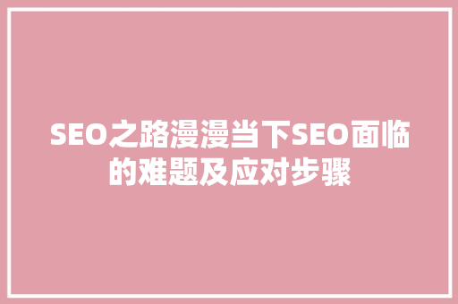 SEO之路漫漫当下SEO面临的难题及应对步骤
