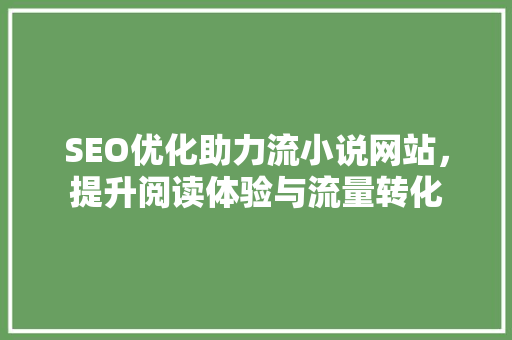 SEO优化助力流小说网站，提升阅读体验与流量转化