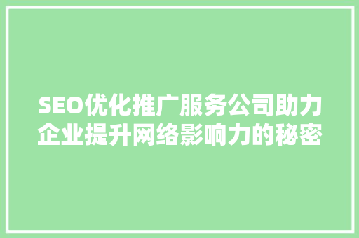 SEO优化推广服务公司助力企业提升网络影响力的秘密武器