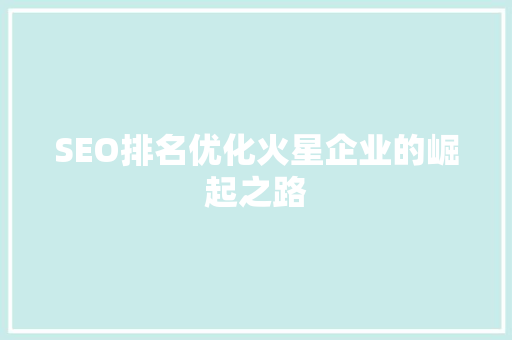 SEO排名优化火星企业的崛起之路