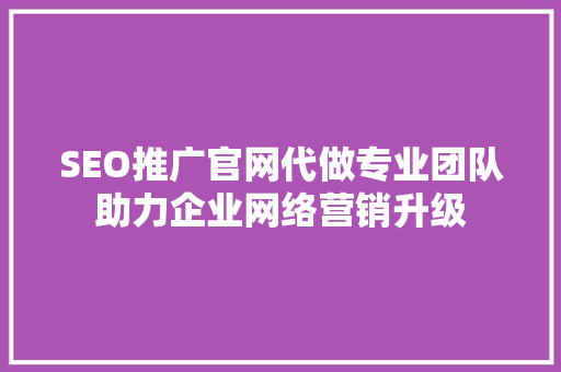 SEO推广官网代做专业团队助力企业网络营销升级
