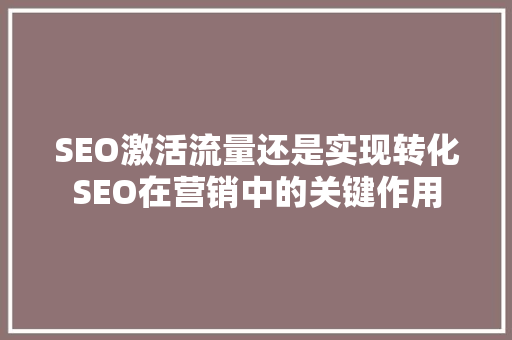 SEO激活流量还是实现转化SEO在营销中的关键作用