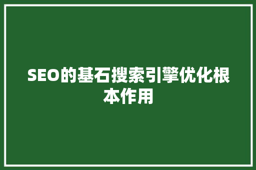 SEO的基石搜索引擎优化根本作用