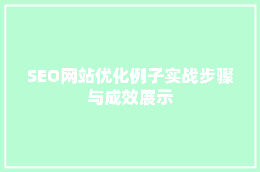 SEO网站优化例子实战步骤与成效展示