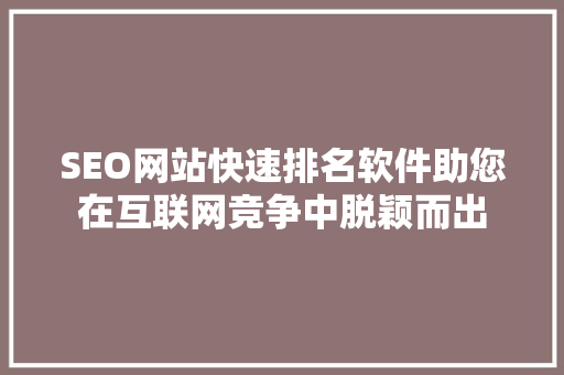 SEO网站快速排名软件助您在互联网竞争中脱颖而出 服务器/数据库