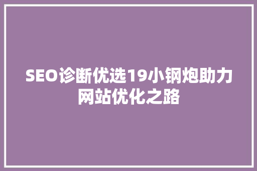 SEO诊断优选19小钢炮助力网站优化之路