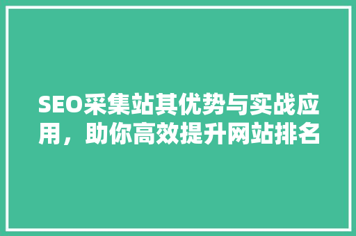 SEO采集站其优势与实战应用，助你高效提升网站排名