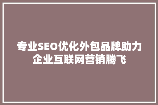 专业SEO优化外包品牌助力企业互联网营销腾飞