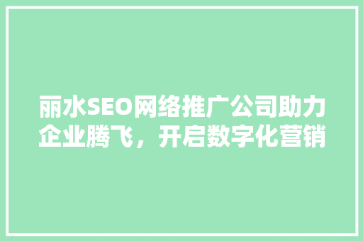 丽水SEO网络推广公司助力企业腾飞，开启数字化营销新时代