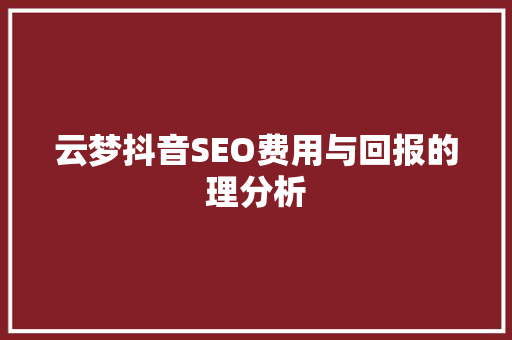 云梦抖音SEO费用与回报的理分析