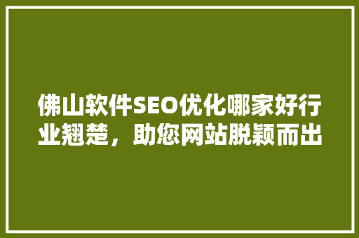 佛山软件SEO优化哪家好行业翘楚，助您网站脱颖而出