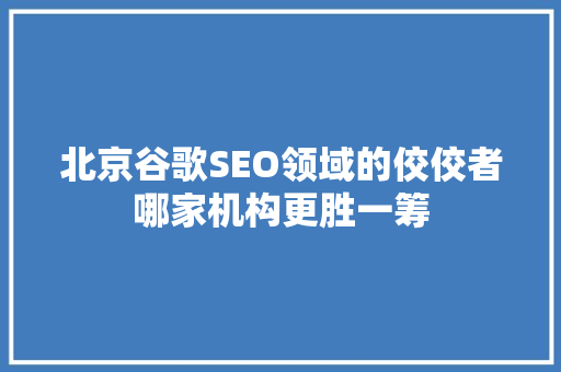 北京谷歌SEO领域的佼佼者哪家机构更胜一筹