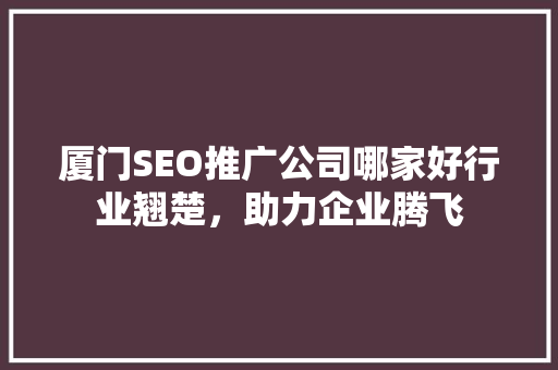 厦门SEO推广公司哪家好行业翘楚，助力企业腾飞