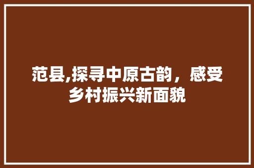 范县,探寻中原古韵，感受乡村振兴新面貌