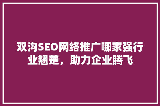 双沟SEO网络推广哪家强行业翘楚，助力企业腾飞