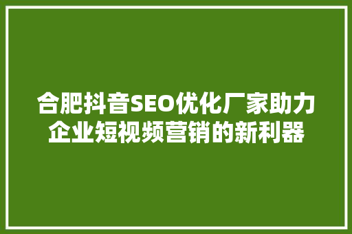 合肥抖音SEO优化厂家助力企业短视频营销的新利器