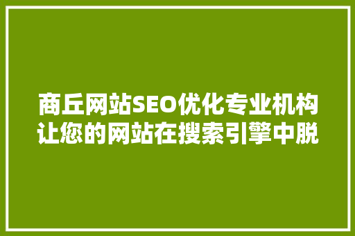 商丘网站SEO优化专业机构让您的网站在搜索引擎中脱颖而出