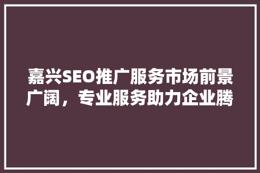 嘉兴SEO推广服务市场前景广阔，专业服务助力企业腾飞