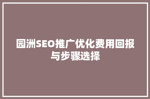 园洲SEO推广优化费用回报与步骤选择
