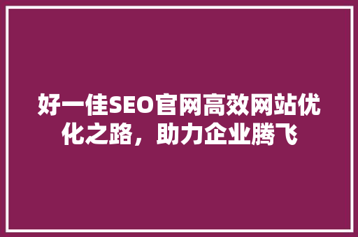好一佳SEO官网高效网站优化之路，助力企业腾飞