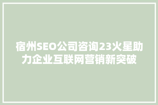 宿州SEO公司咨询23火星助力企业互联网营销新突破