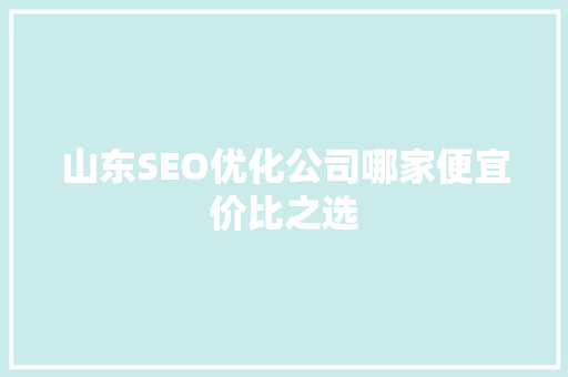 山东SEO优化公司哪家便宜价比之选
