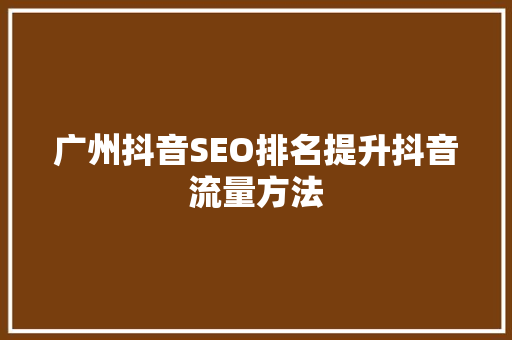 广州抖音SEO排名提升抖音流量方法
