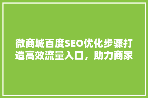 微商城百度SEO优化步骤打造高效流量入口，助力商家盈利增长