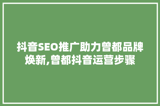 抖音SEO推广助力曾都品牌焕新,曾都抖音运营步骤
