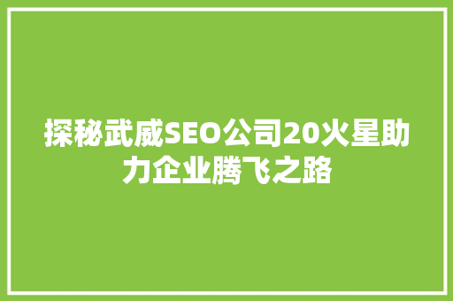 探秘武威SEO公司20火星助力企业腾飞之路
