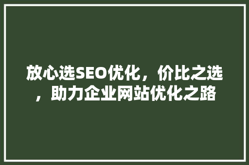 放心选SEO优化，价比之选，助力企业网站优化之路