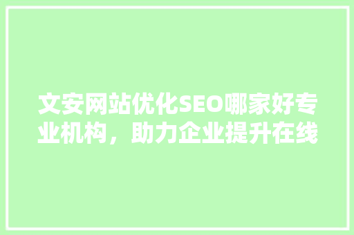 文安网站优化SEO哪家好专业机构，助力企业提升在线竞争力