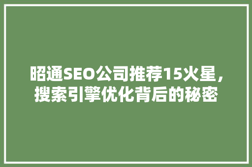 昭通SEO公司推荐15火星，搜索引擎优化背后的秘密