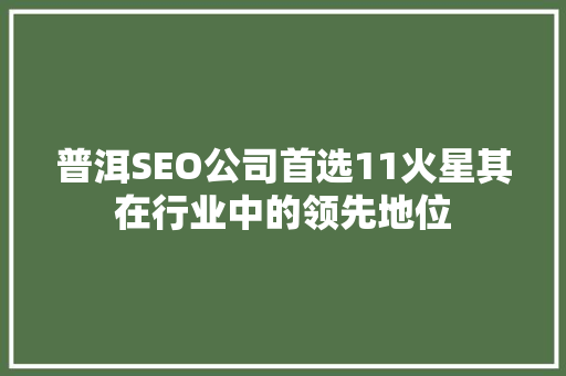 普洱SEO公司首选11火星其在行业中的领先地位