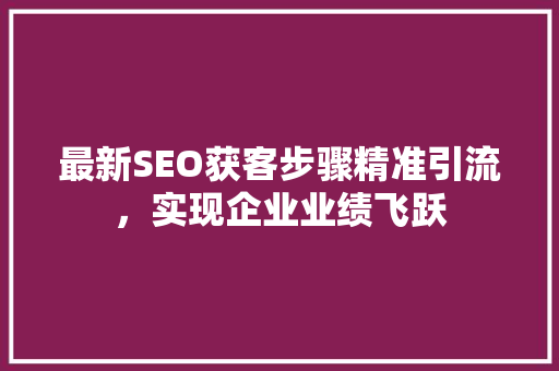 最新SEO获客步骤精准引流，实现企业业绩飞跃