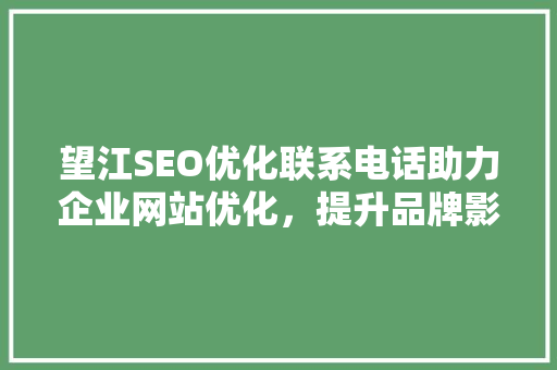 望江SEO优化联系电话助力企业网站优化，提升品牌影响力