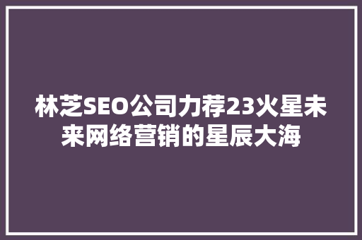 林芝SEO公司力荐23火星未来网络营销的星辰大海