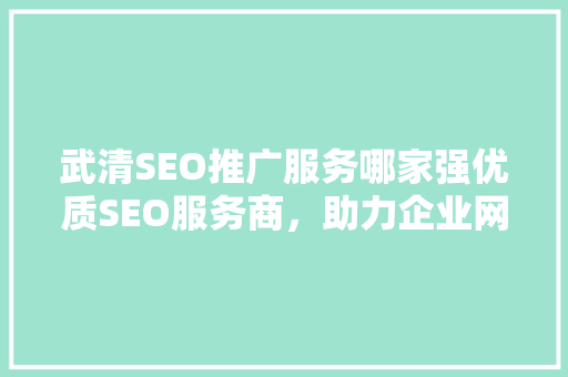 武清SEO推广服务哪家强优质SEO服务商，助力企业网络营销腾飞