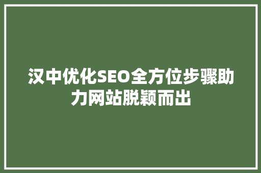 汉中优化SEO全方位步骤助力网站脱颖而出