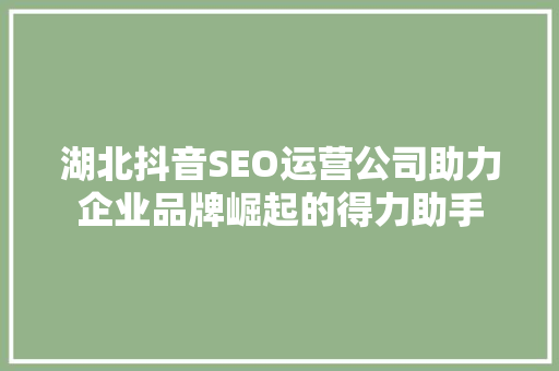 湖北抖音SEO运营公司助力企业品牌崛起的得力助手