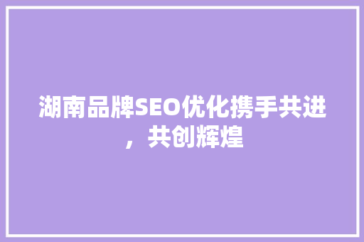 湖南品牌SEO优化携手共进，共创辉煌