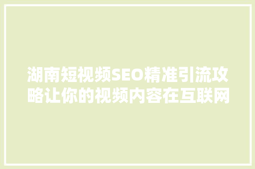 湖南短视频SEO精准引流攻略让你的视频内容在互联网上脱颖而出