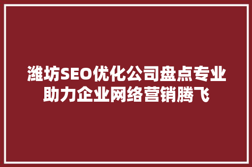 潍坊SEO优化公司盘点专业助力企业网络营销腾飞