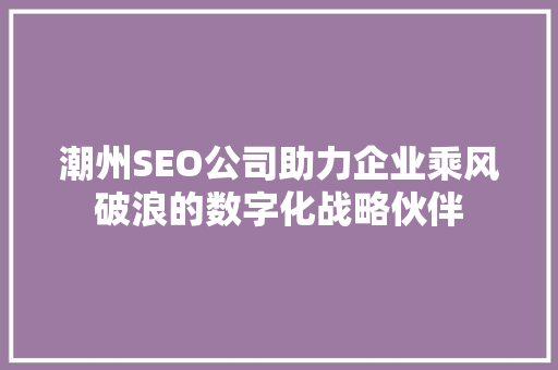 潮州SEO公司助力企业乘风破浪的数字化战略伙伴