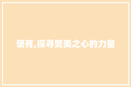 褒有,探寻赞美之心的力量
