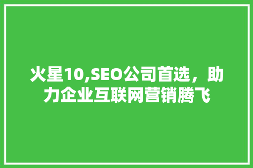 火星10,SEO公司首选，助力企业互联网营销腾飞