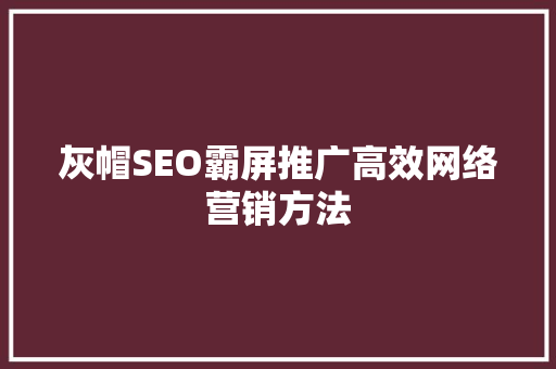灰帽SEO霸屏推广高效网络营销方法
