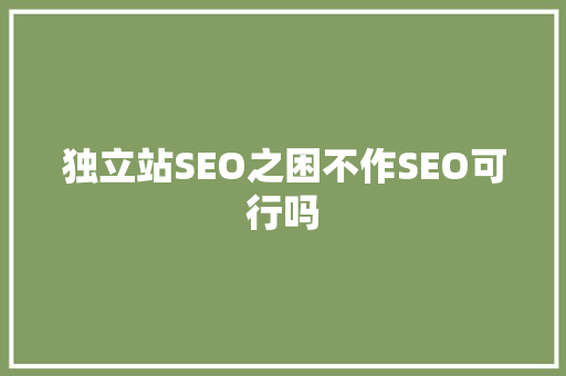 独立站SEO之困不作SEO可行吗