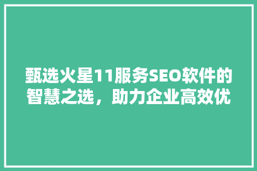 甄选火星11服务SEO软件的智慧之选，助力企业高效优化