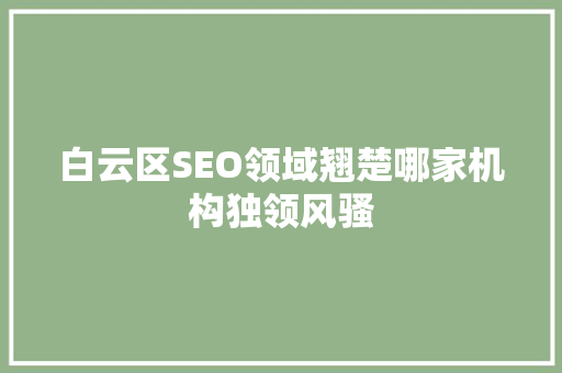 白云区SEO领域翘楚哪家机构独领风骚